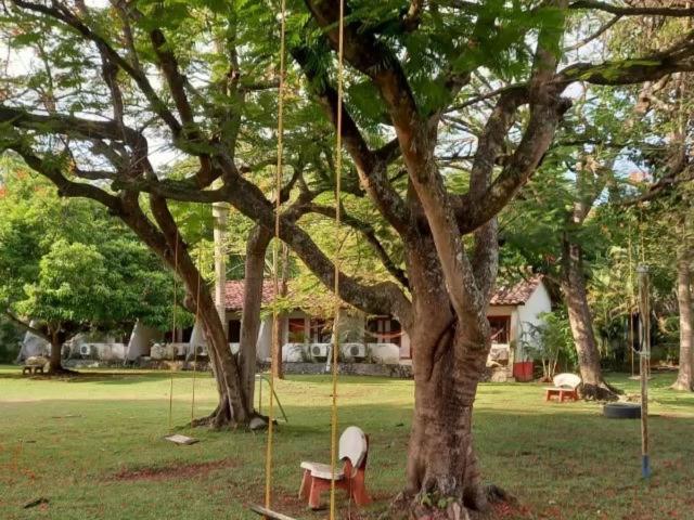 Hosteria Real Otel Santa Fe de Antioquia Dış mekan fotoğraf