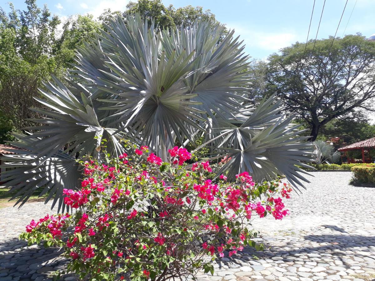 Hosteria Real Otel Santa Fe de Antioquia Dış mekan fotoğraf